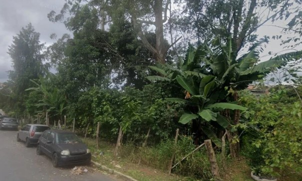 Ossada é localizada em área ambiental na zona sul e polícia apura possível cemitério clandestino ossada-e-localizada-em-area-ambiental-na-zona-sul-e-policia-apura-possivel-cemiterio-clandestino