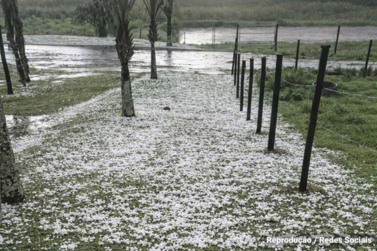 Temporal atinge litoral e interior de SP e provoca impactos em diferentes regiões
