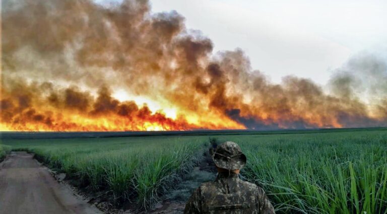 POLÍCIA MILITAR AMBIENTAL INTENSIFICA FISCALIZAÇÃO CONTRA QUEIMADAS EM TODO O ESTADO DE SP