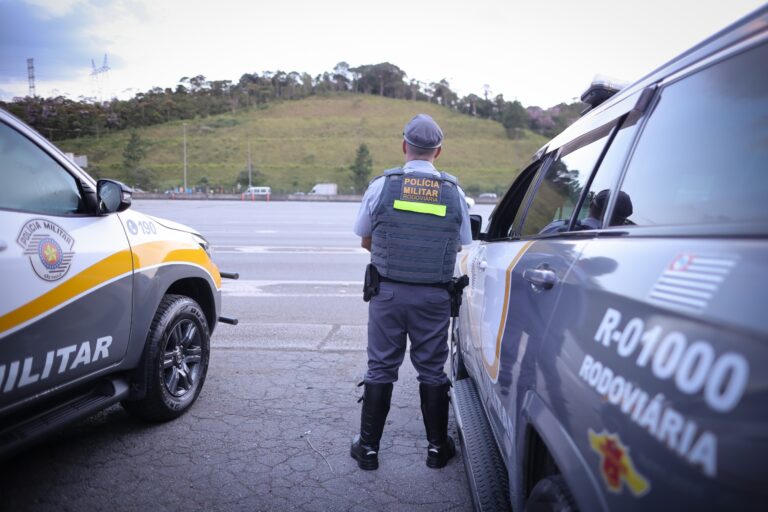 DUPLA É PRESA POR ROUBO DE 32 TONELADAS DE MDF AVALIADAS EM R$ 106 MIL NA GRANDE SÃO PAULO